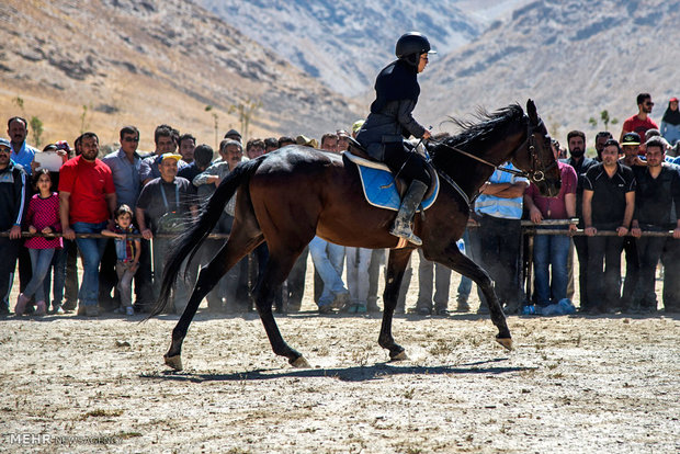 Horse beauty, riding contest in Arak