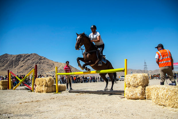 Horse beauty, riding contest in Arak