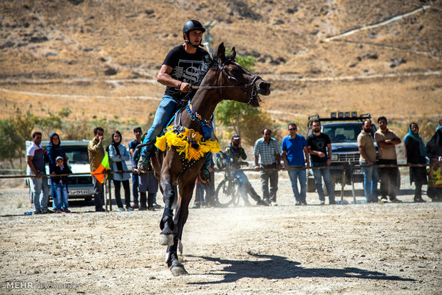 Horse beauty, riding contest in Arak