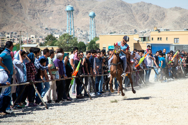 Horse beauty, riding contest in Arak