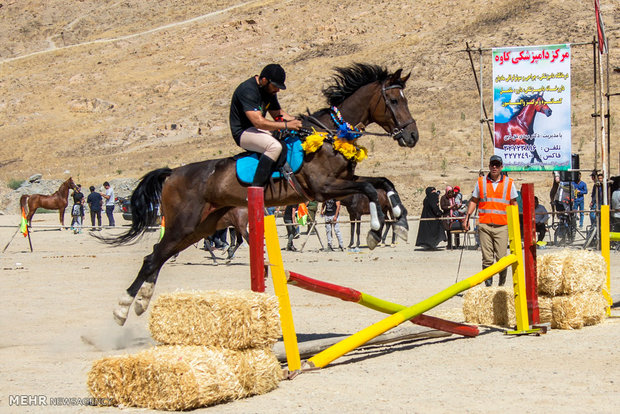 Horse beauty, riding contest in Arak