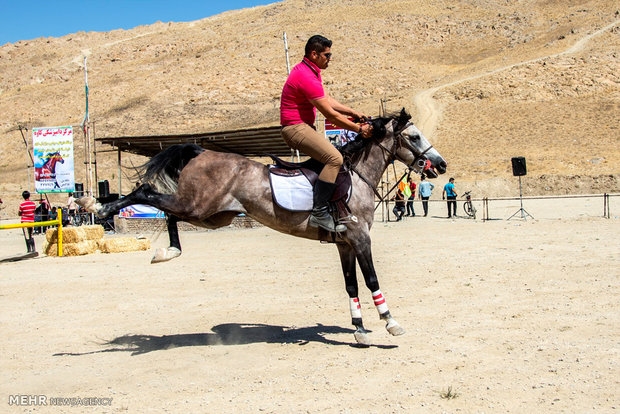 Horse beauty, riding contest in Arak