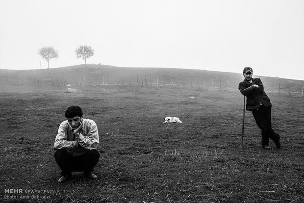 Migration of Talesh cottagers 