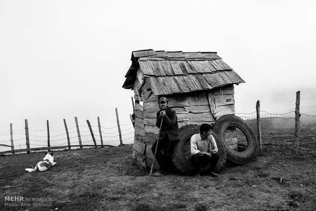 Migration of Talesh cottagers 