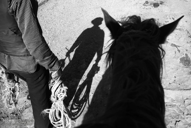 عوض گلن عاشق اسب است می گوید من از بچگی با اسب بزرگ شدم و هیچوقت نمی توانم از آنها جدا شوم. اسب  عضوی ازخانواده من است.