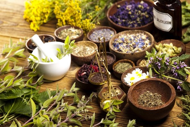 Iran to export medicinal herbs to 3 countries