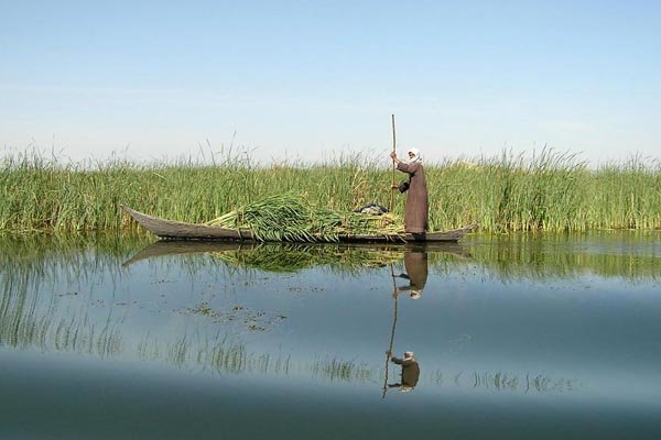 «آب سوخته» روایتی از هورالعظیم