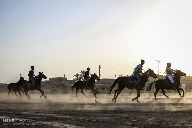 سباق الخيول المحلية في قرية "شري مري" جنوب ايران