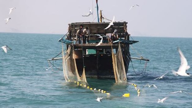 صادرات آبزیان ۴۲ درصد افزایش یافت/کاهش صادرات برخی ماهی‌ها