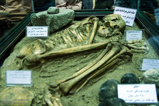 8-millennial man’s skeleton goes on public display