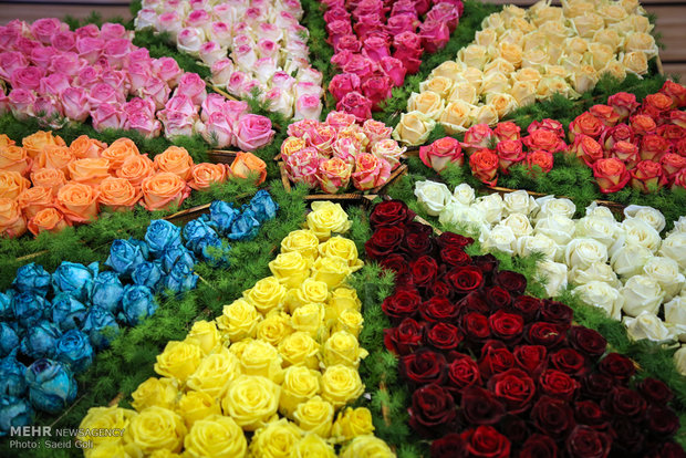 İran’da '8. Çiçek ve Bitki Fuarı' açıldı