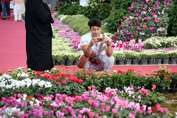 نهمین جشنواره گل و گیاه گلستان اردیبهشت ماه برگزار می شود