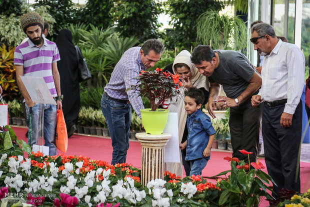 Flower exhibition in Tehran