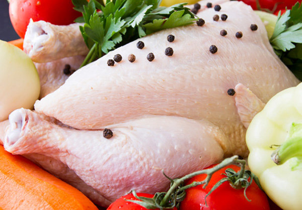 ۱۴۰ تن مرغ در بازار ایلام توزیع می شود
