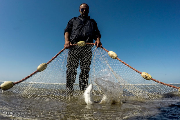 بدء فصل الصيد الموسمي في بحر قزوين 