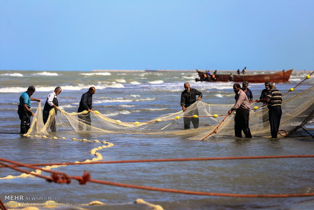 بدء فصل الصيد الموسمي في بحر قزوين