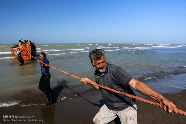 بدء فصل الصيد الموسمي في بحر قزوين