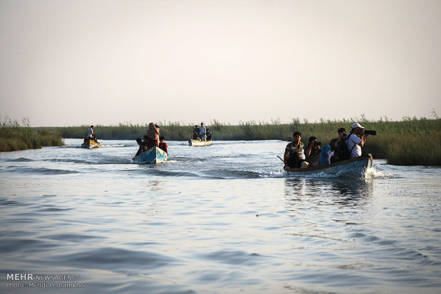 تیغ پتروشیمی بر گلوی تالاب شادگان / تالاب با زهاب نیشکر زنده است 4