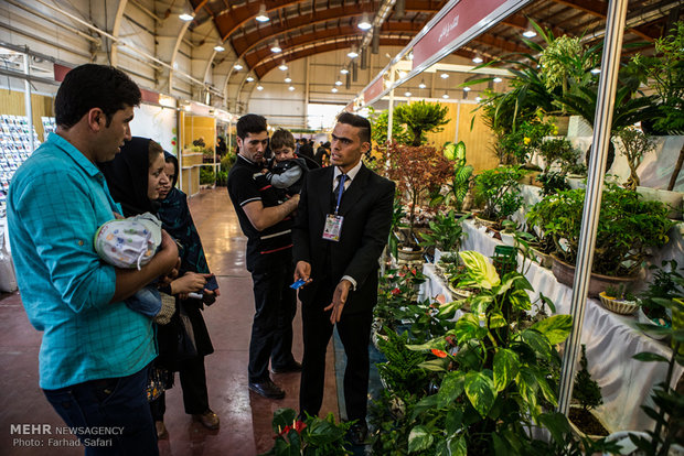 4th flowers and plants exhibition in Qazvin