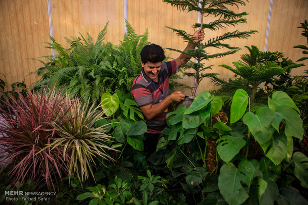 4th flowers and plants exhibition in Qazvin