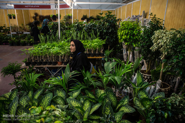 4th flowers and plants exhibition in Qazvin