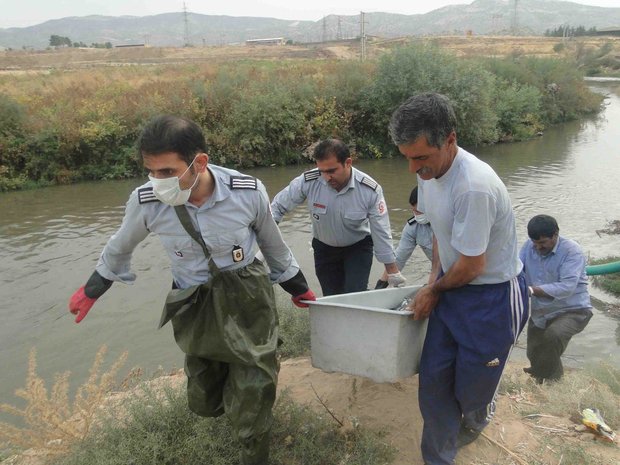 جسد نوجوان ۱۷ ساله در رودخانه شطیط شوشتر کشف شد