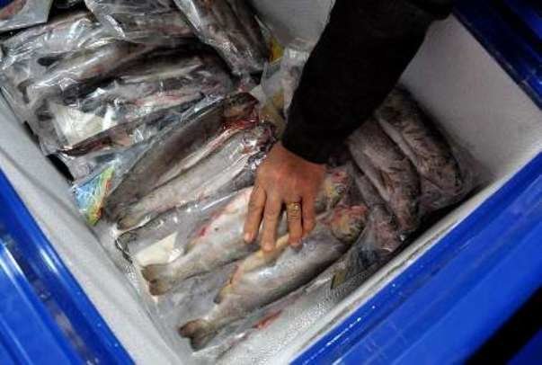 صادرات محصولات شیلاتی از مازندران ۱۵۰ درصد رشد داشت صادرات محصولات شیلاتی از مازندران ۱۵۰ درصد رشد داشت