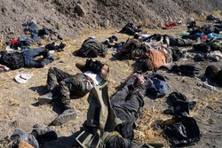 ارتش مصر ۲۴ عنصر مسلح را در صحرای سینا به هلاکت رساند