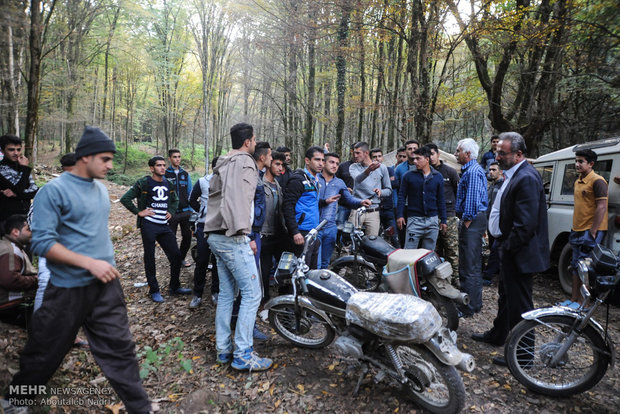 اعتراض به قطع درختان در روستای آهنگر محله گرگان