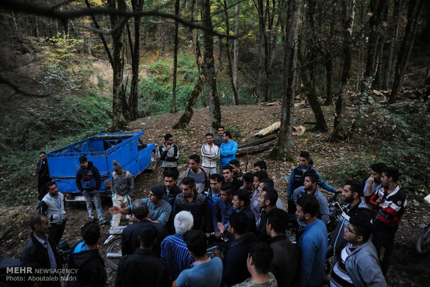 اعتراض به قطع درختان در روستای آهنگر محله گرگان