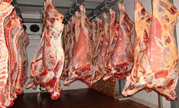 قیمت گوشت قرمز در صورت تصویب افزایش می یابد