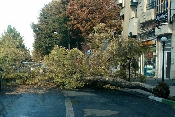  تندباد به سقف ۱۵ مسکن در مازندران خسارت زد