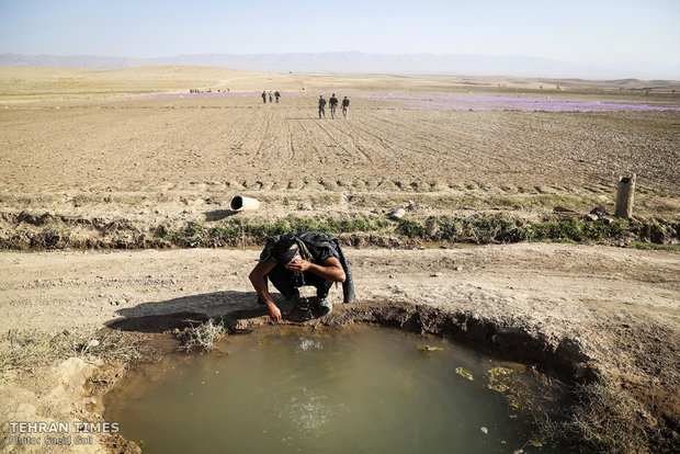 Farmers start getting in Saffron