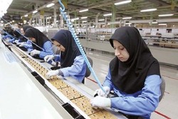 نرخ مشارکت اقتصادی بانوان در زنجان ۱۵.۶ درصد است