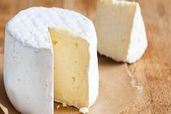 پنیر عامل محافظ در مقابل مشکلات قلبی-عروقی