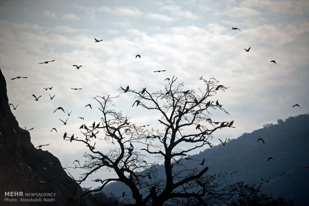 سِحر طبیعت در پارک ملی گلستان/ پردیس پرآوازه در انتظار گردشگر است