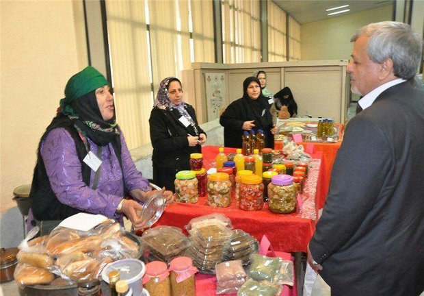 ۷ صندوق اعتباری خرد زنان روستایی در اردبیل تشکیل شد