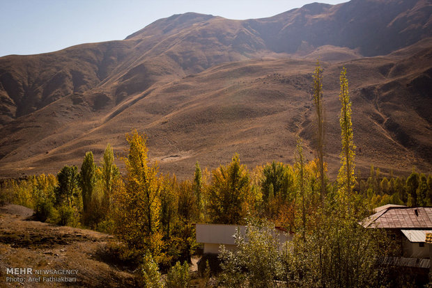 زاد روز نیما یوشیج / علی اسفندیاری