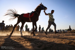 مسابقات اسبدوانی پاییزه در سوسنگرد