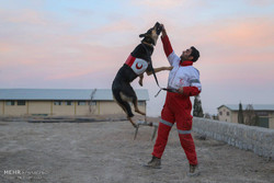 مانور سگ‌های امداد و نجات هلال احمر در اصفهان
