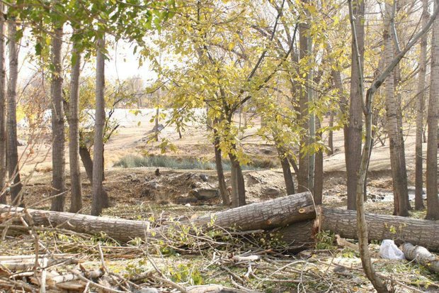 تخریب باغ های همدان در آستانه برگزاری همایش شهر سبز پایدار
