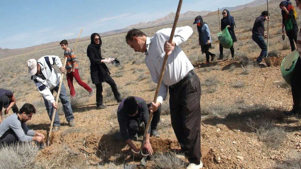 planting tree