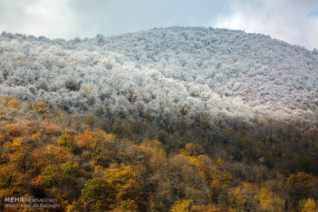 Autumn snow covers Sari mountains