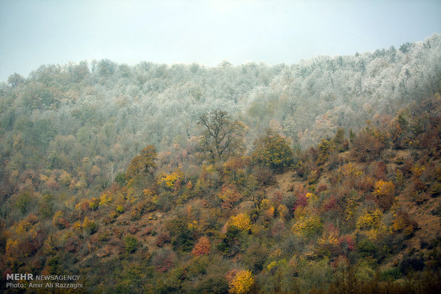 Autumn snow covers Sari mountains