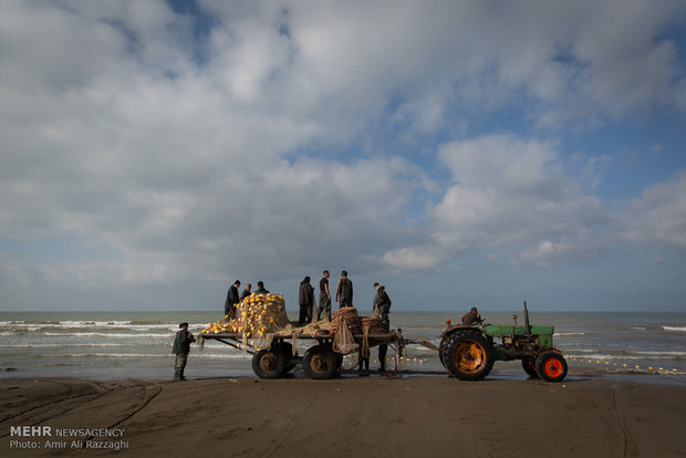 Fishing in Caspian Sea