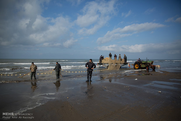 Fishing in Caspian Sea