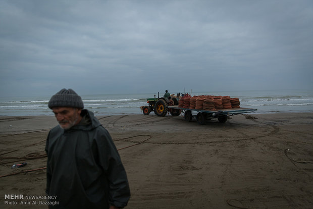 Fishing in Caspian Sea