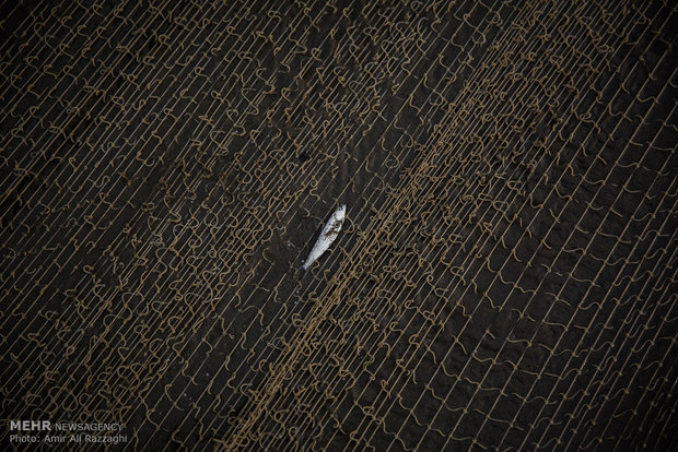 Fishing in Caspian Sea