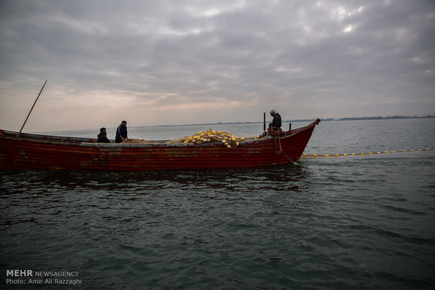 Fishing in Caspian Sea