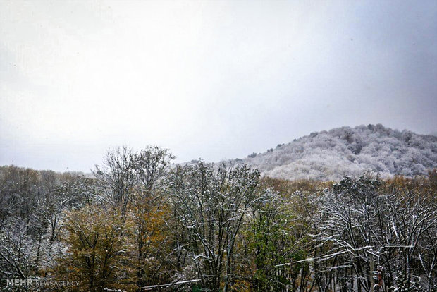 بارش برف پاییزی در گرگان / عکس : میلاد نجاری